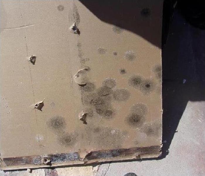 Mold damage on a brown box