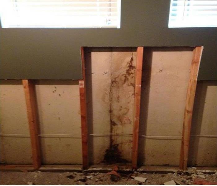 Mold damage on framing of a wall with no drywalling